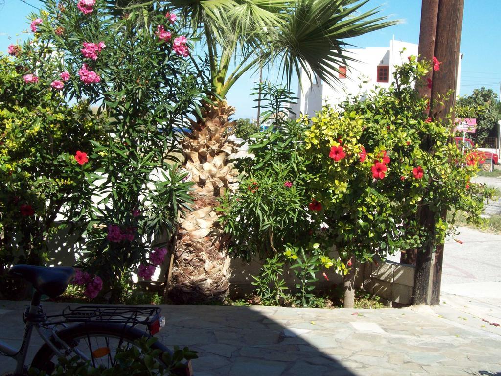 Anastasia Apartments Korissia  Bagian luar foto